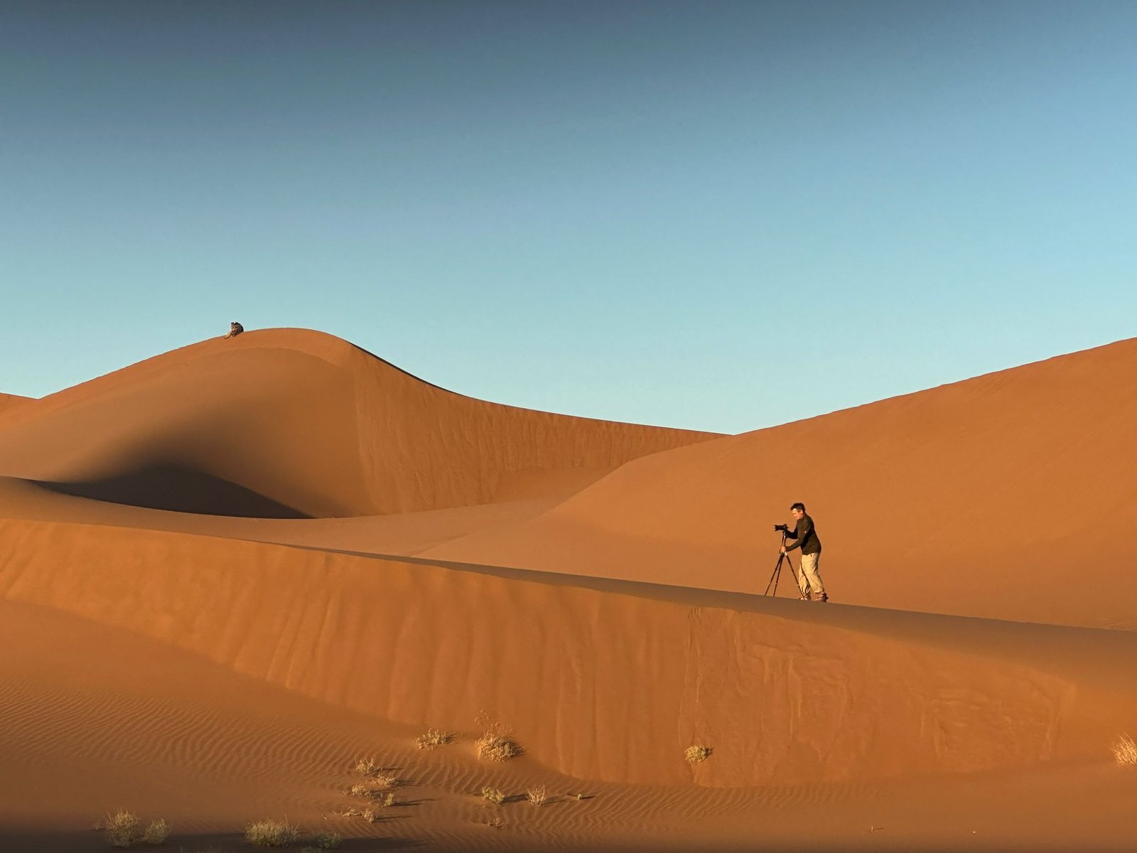 Sahara desert scene