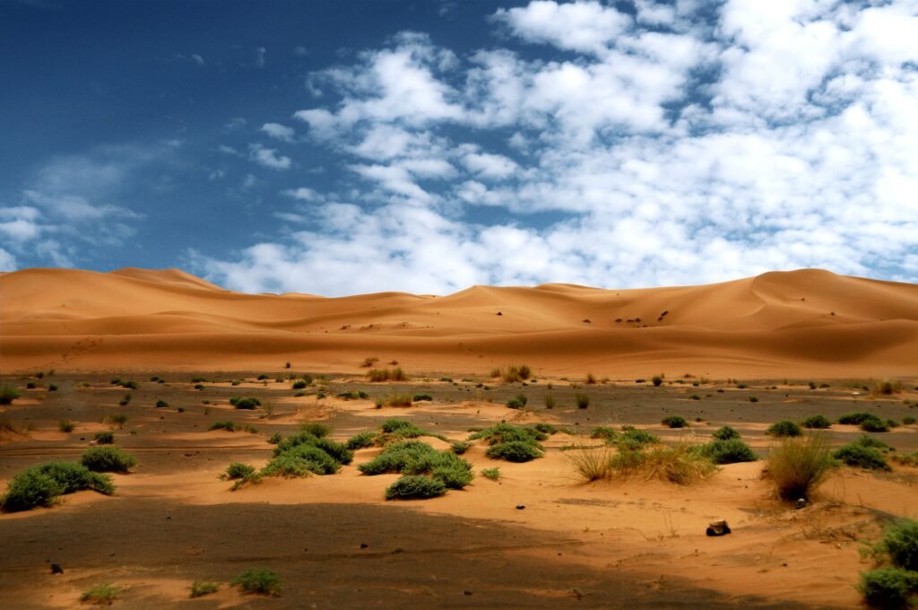 Camel Trekking Adventure in Merzouga Desert